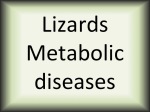 Lizards metabolic diseases
